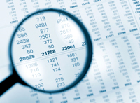 Forensic Accountants